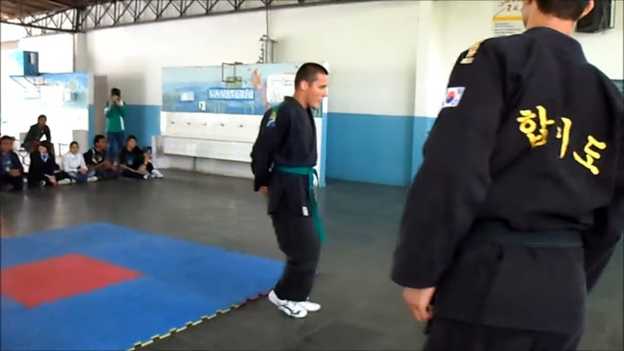 Hapkido OUTDOOR Demo