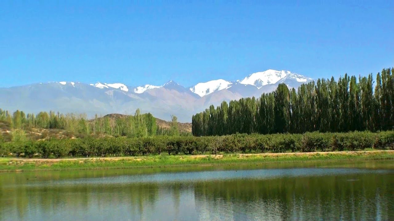 MENDOZA - Argentina, turismo bodegas y viñedos. Ruta del vino en Mendoza enoturismo visitar caminos