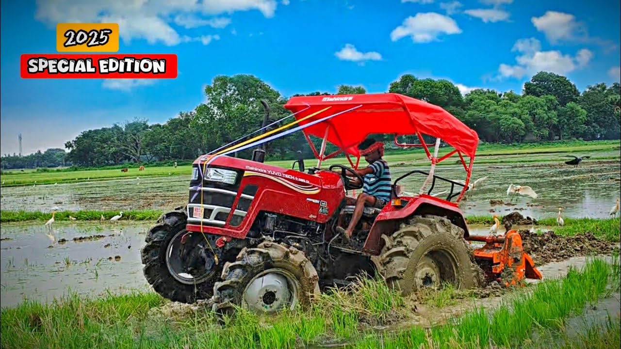Mahindra yovo tech plus 585 Di 4wd Special edition Working in the Deep Mud #tractor #tractorvideo