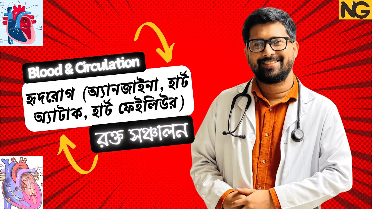 হৃদরোগ (অ্যানজাইনা, হার্ট অ্যাটাক, হার্ট ফেইলিউর) | রক্ত সঞ্চালন | Blood & Circulation | HSC Biology
