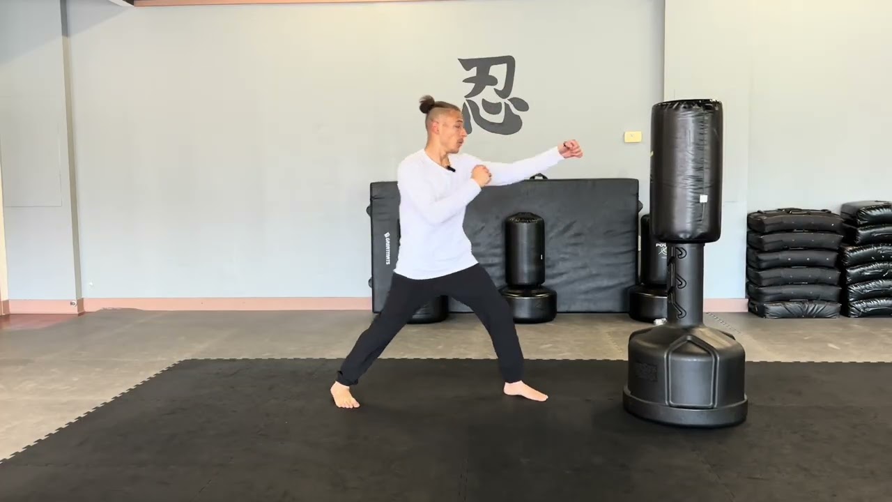 Fearless MMA Level 1: Mock Test Submission
