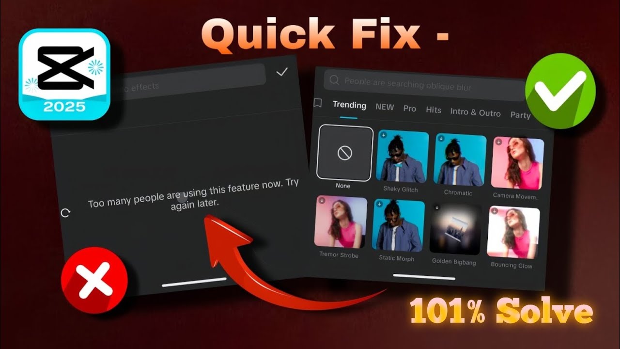 Capcut Too many people are using this feature now.try again later problem solve