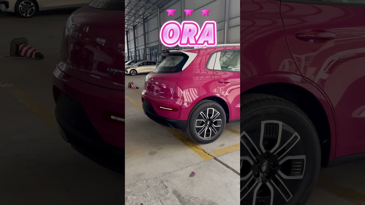 ORA:buy car, I'll give you strawberry bear💓