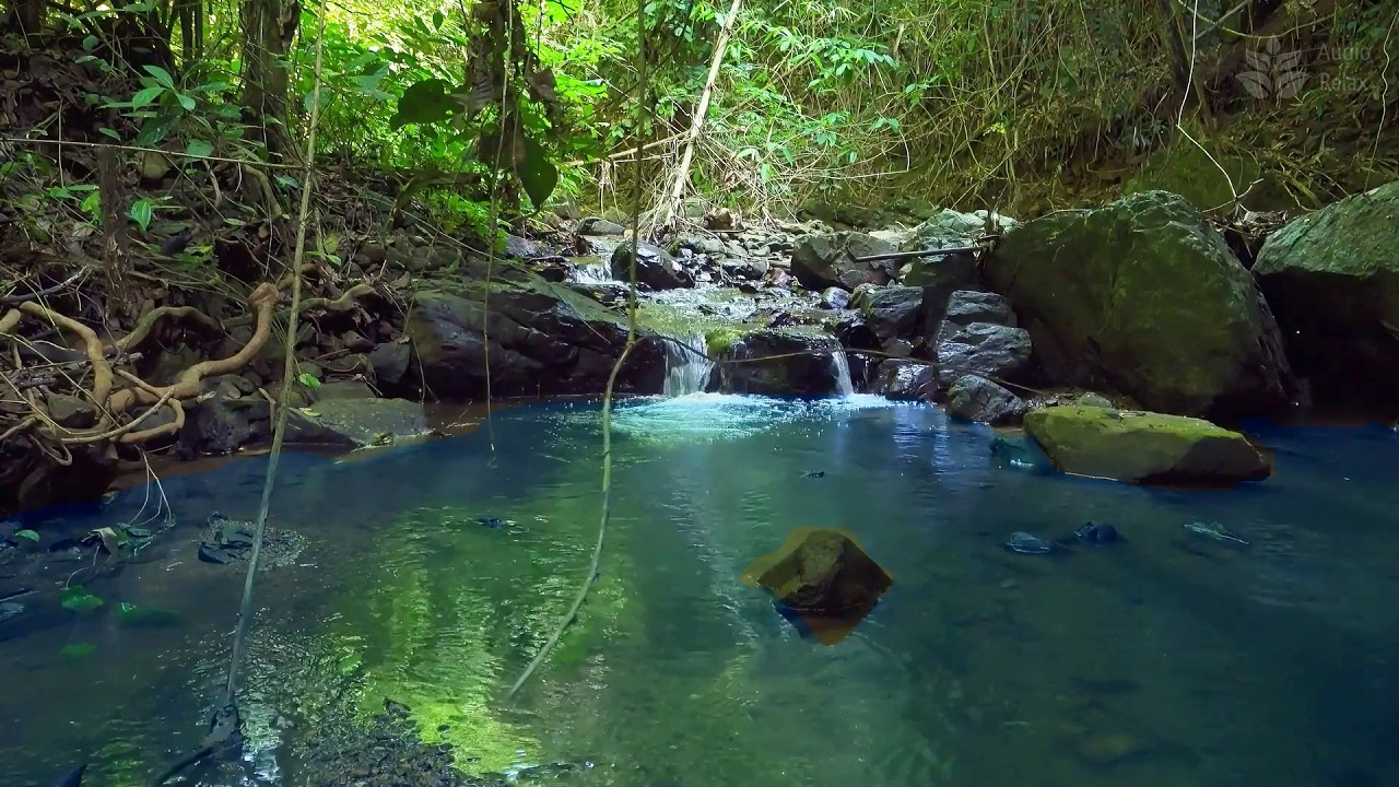 Tropical Forest Brook | 10 Hours of Relaxing White Noise for Meditation & Calm