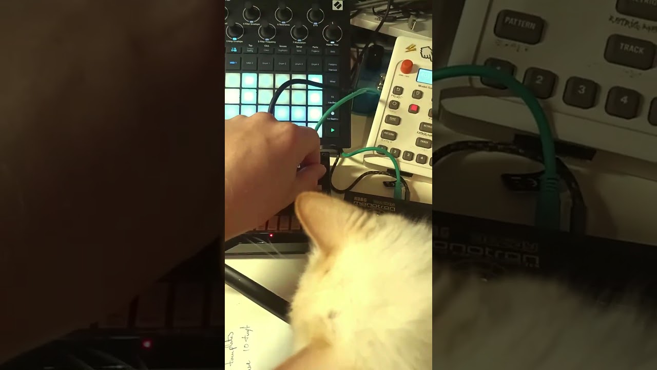 NEW GENRE - Kitty Dub