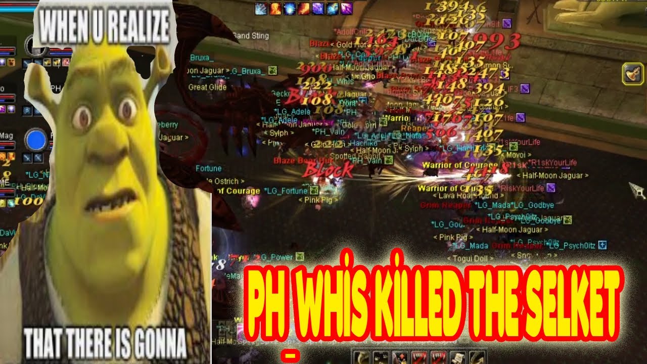 SURPRISED ATTACK by Server Thieves - SILKROAD ONLINE | REDSEA SAILOR ONLINE