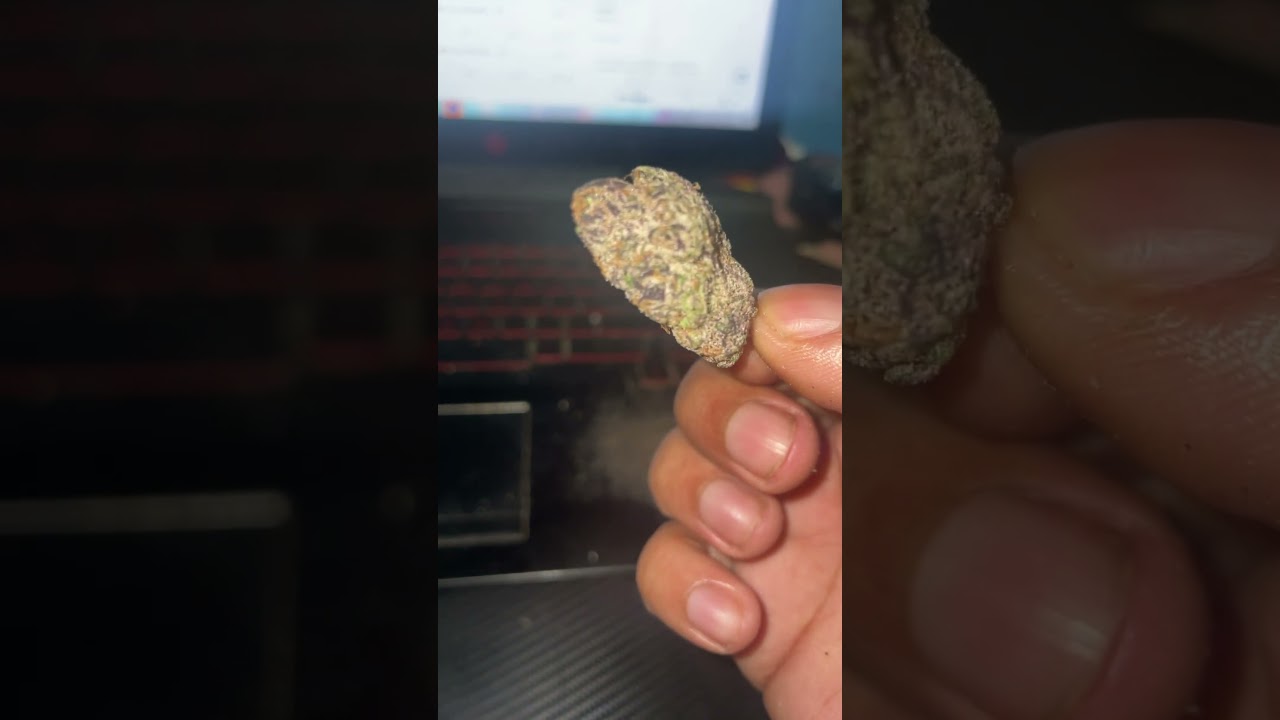 Weed smoking Weed nugs up close