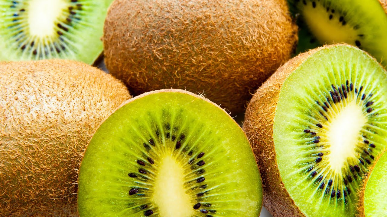ESTACA DE KIWI ENRAIZADA COM 50 DIAS!!!!!
