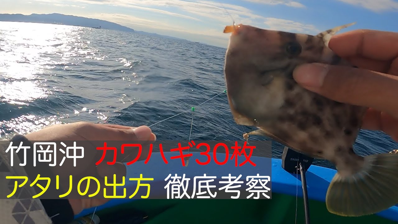 【前編】東京湾・竹岡沖カワハギ 30枚　アタリの出方