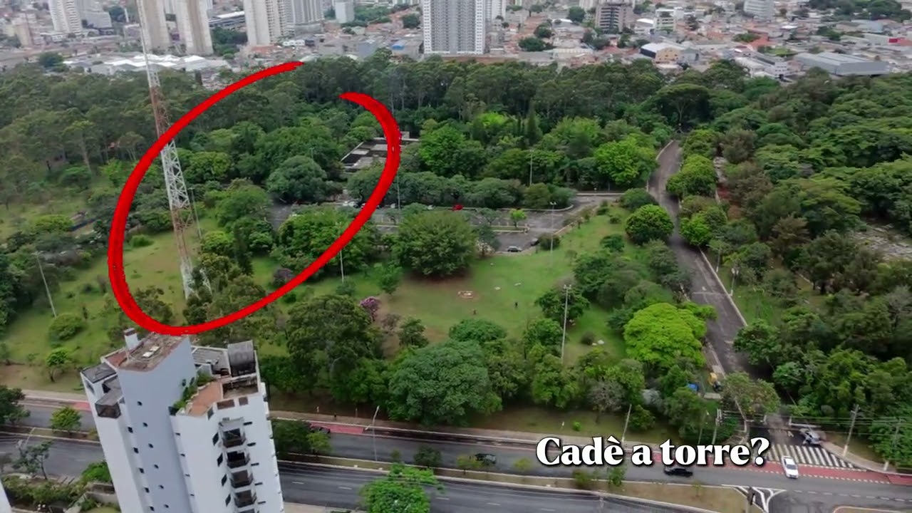 Avelino, SBT e RECORD