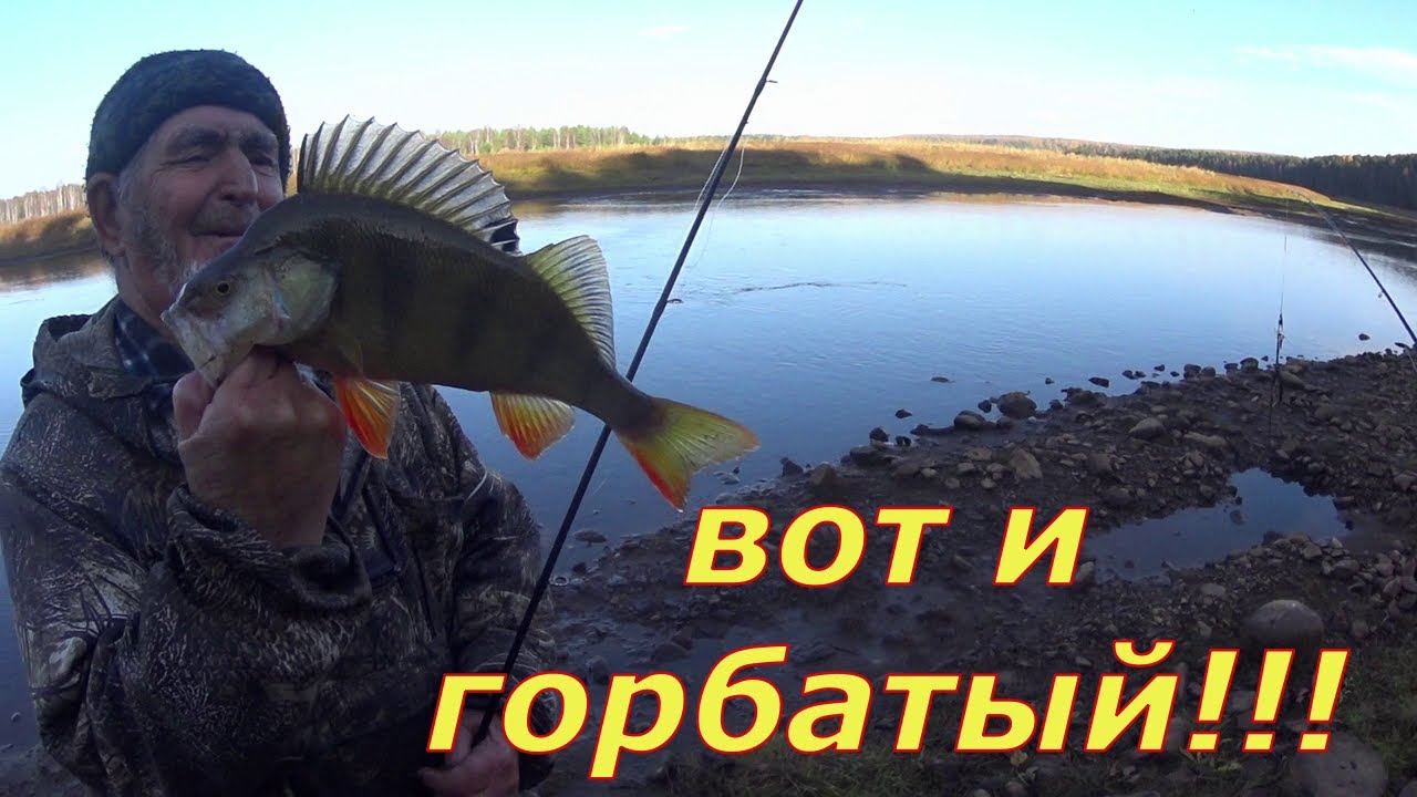 С дедом по реке. Горбач на вертушку.