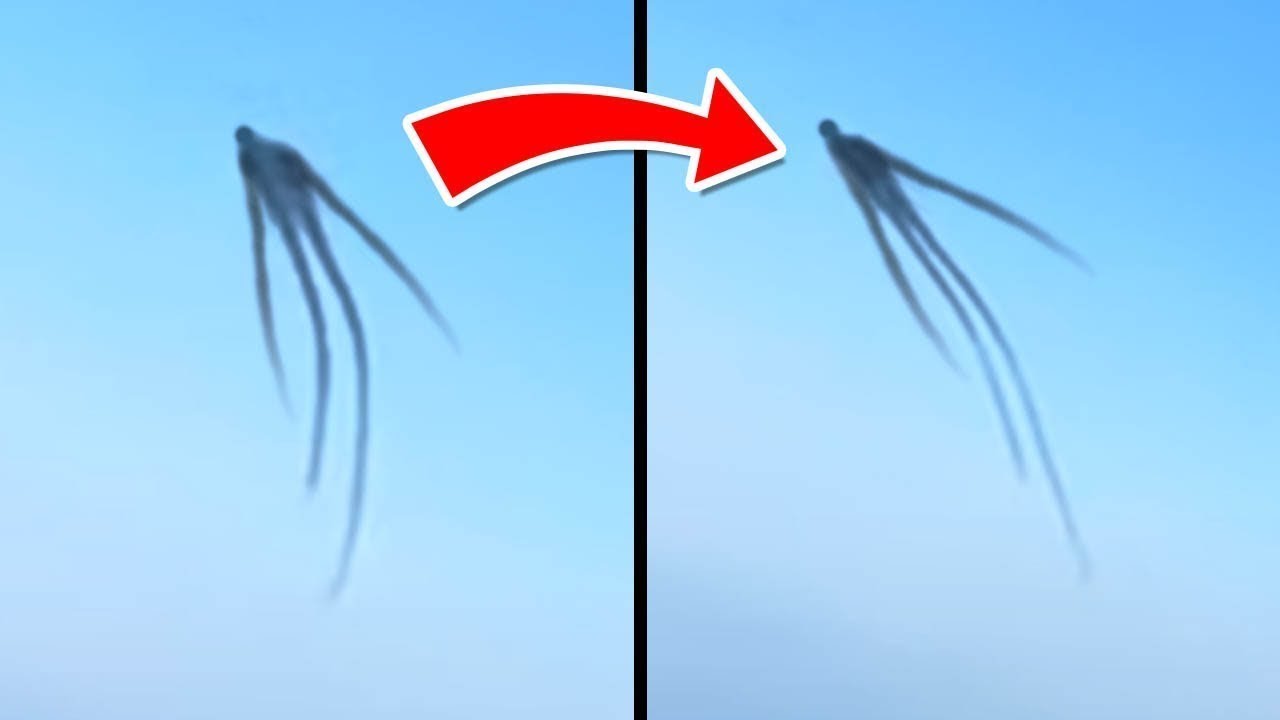 Pasajeros De Avión Capturaron Algo Que NO Deberían Haber Visto