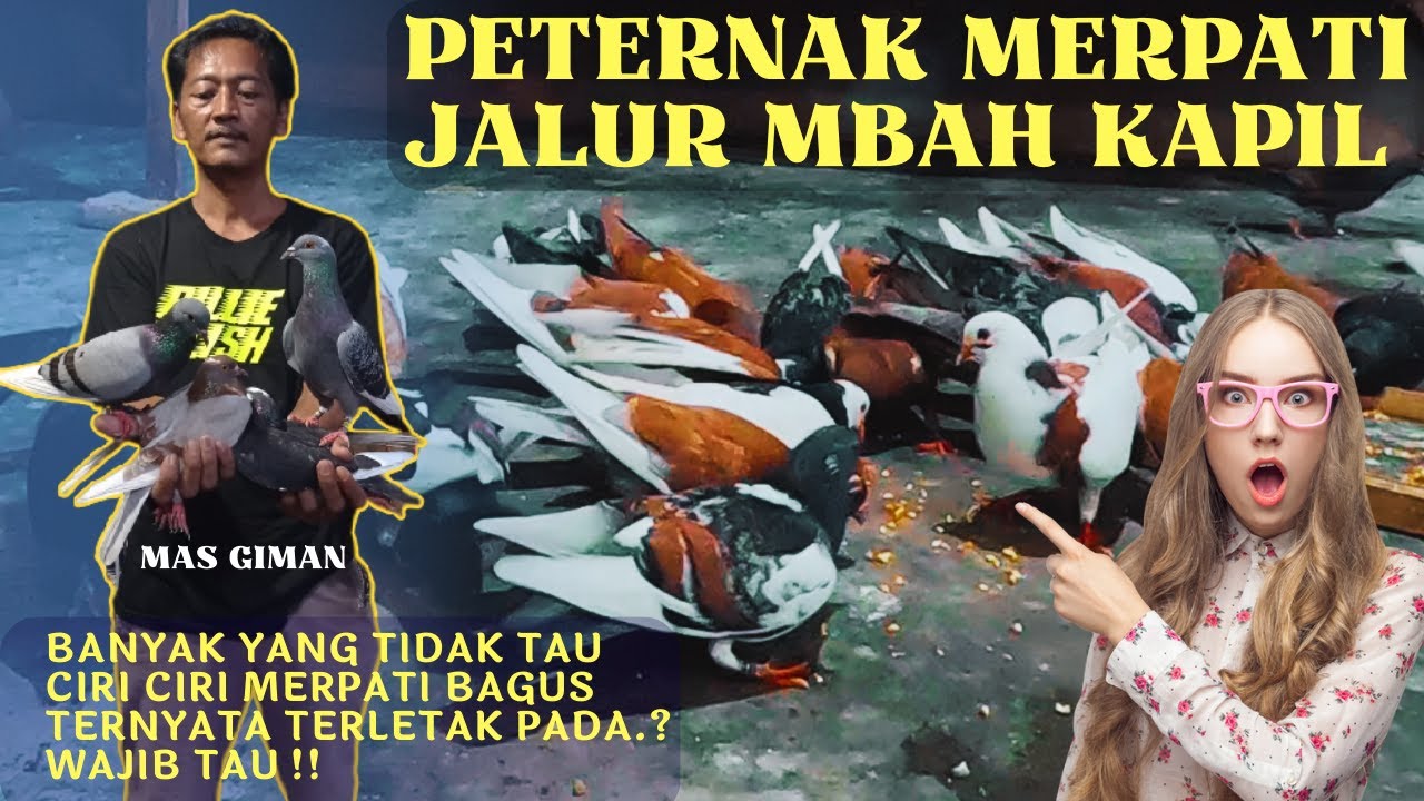 Seleksi Ketat 
