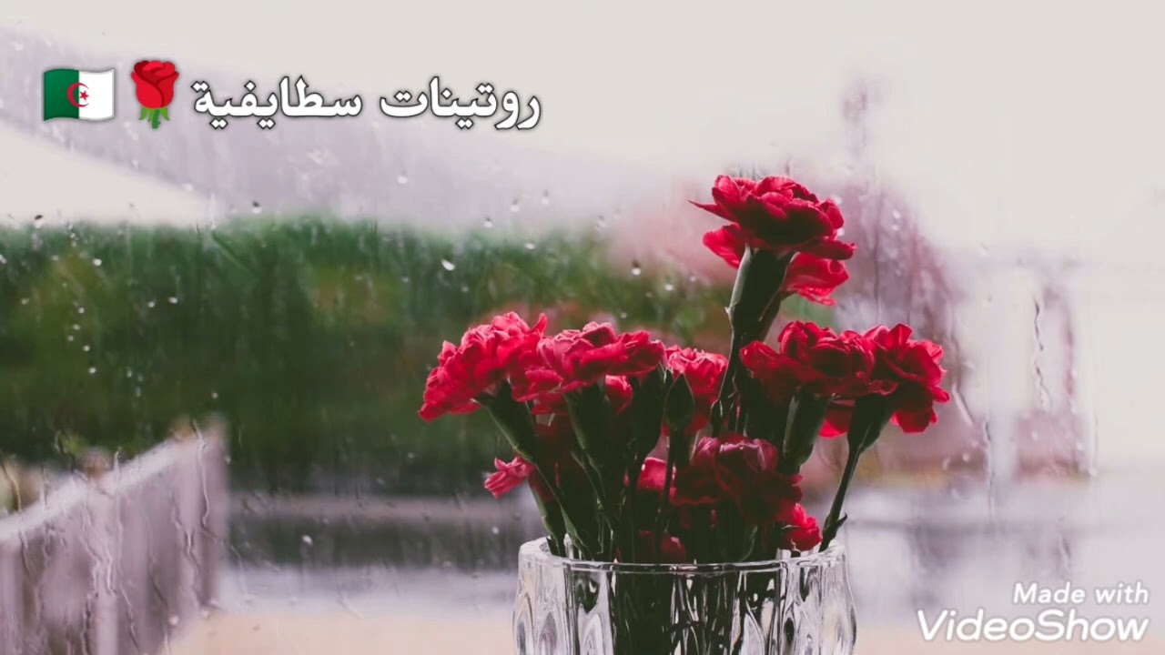 روتينات سطايفية🇩🇿فيديو تعريفي 🌹الفيديو كان تحت طلبكم،أي سؤال غير محرج نجاوب عليه🌼