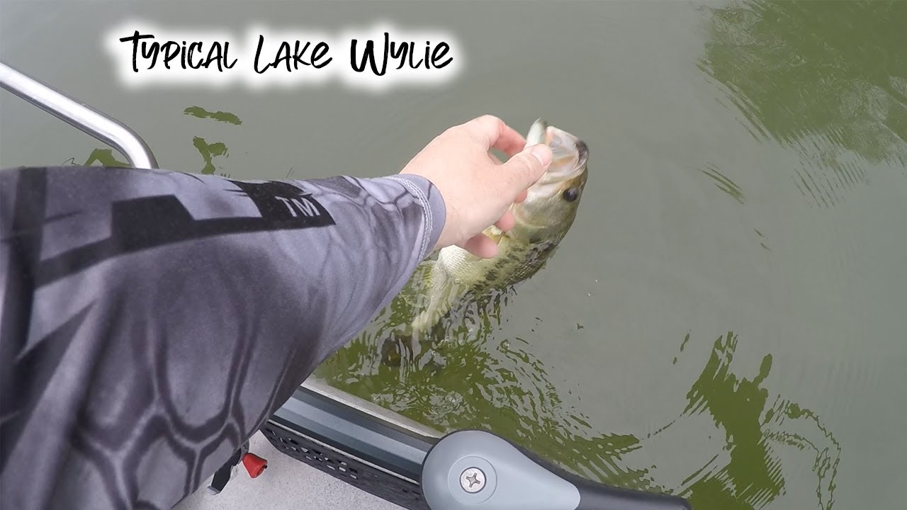 Typical Mid Day Lake Wylie Fishing, I relearned a lesson here...