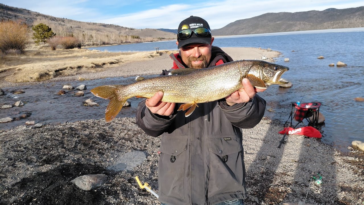 A Fish pulled our Rod into the Lake... so we tried Catching it Back! #FishTales #missingRod #trout