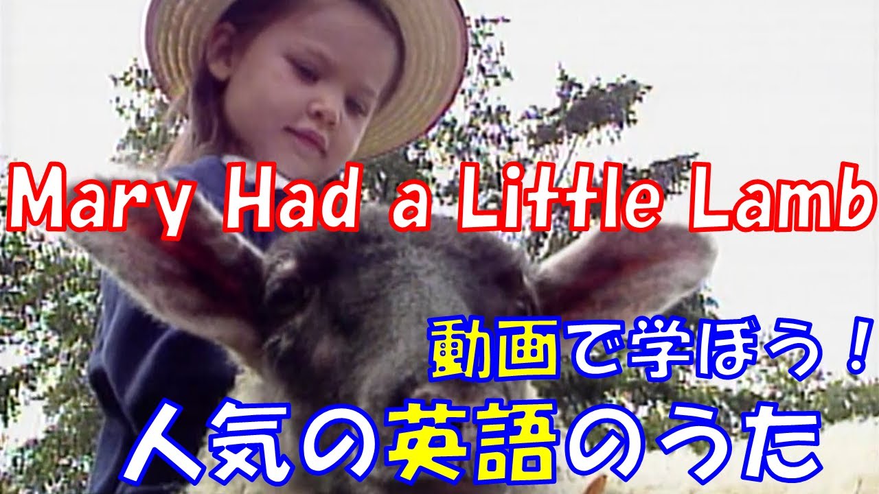 【動画で学ぼう！人気の英語のうた】メリーさんのひつじ　Mary Had a Little Lamb【Famous English Songs for Kids】