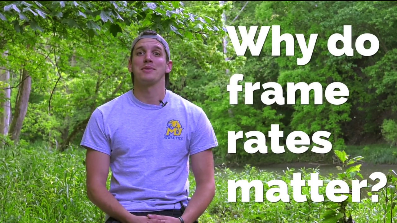 Which Frame Rate Should You Use?