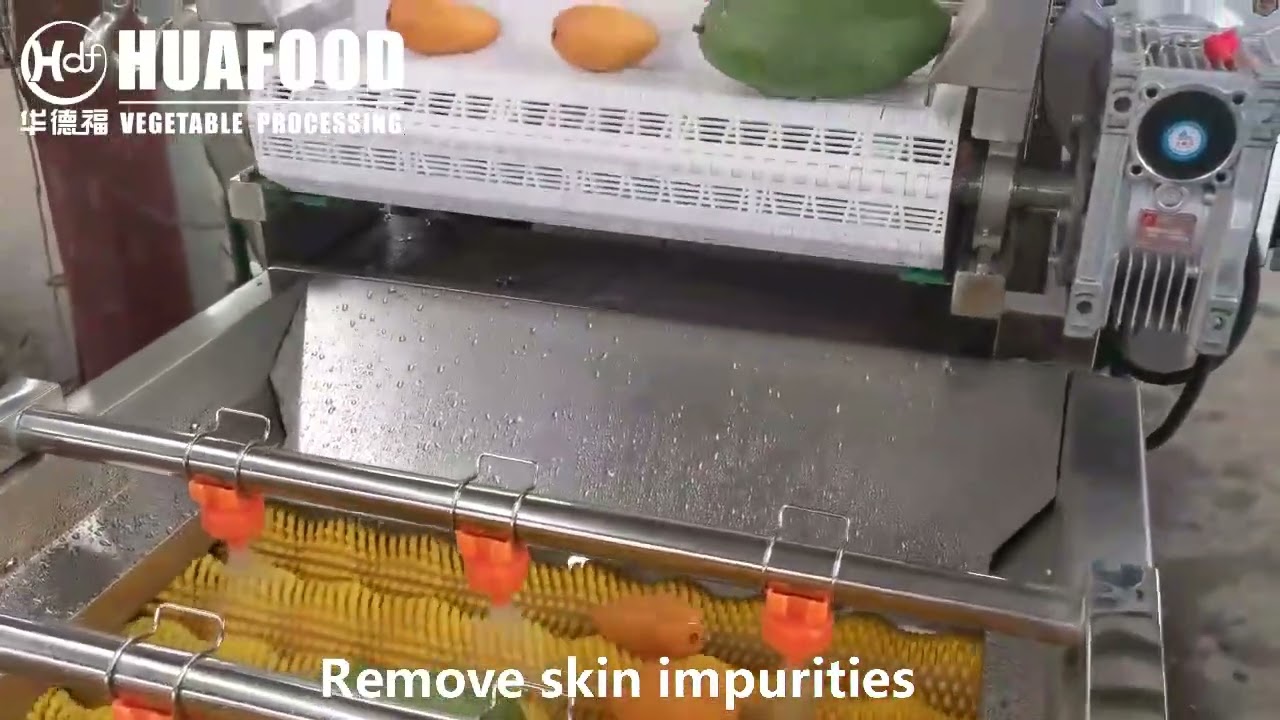 mango washing production line