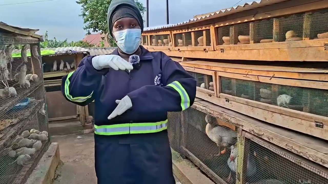 FARM TOUR