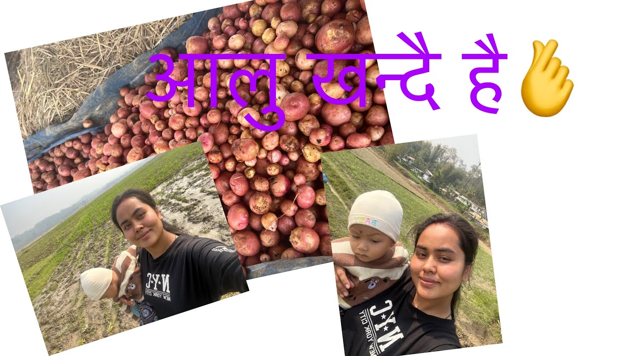 Aaja  Aalu🥔 khandai 🙏🏻💕