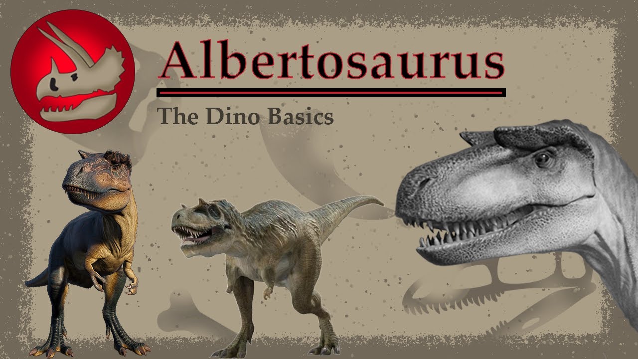 Albertosaurus | The Agile Predecessor to T.Rex | Dino Basics