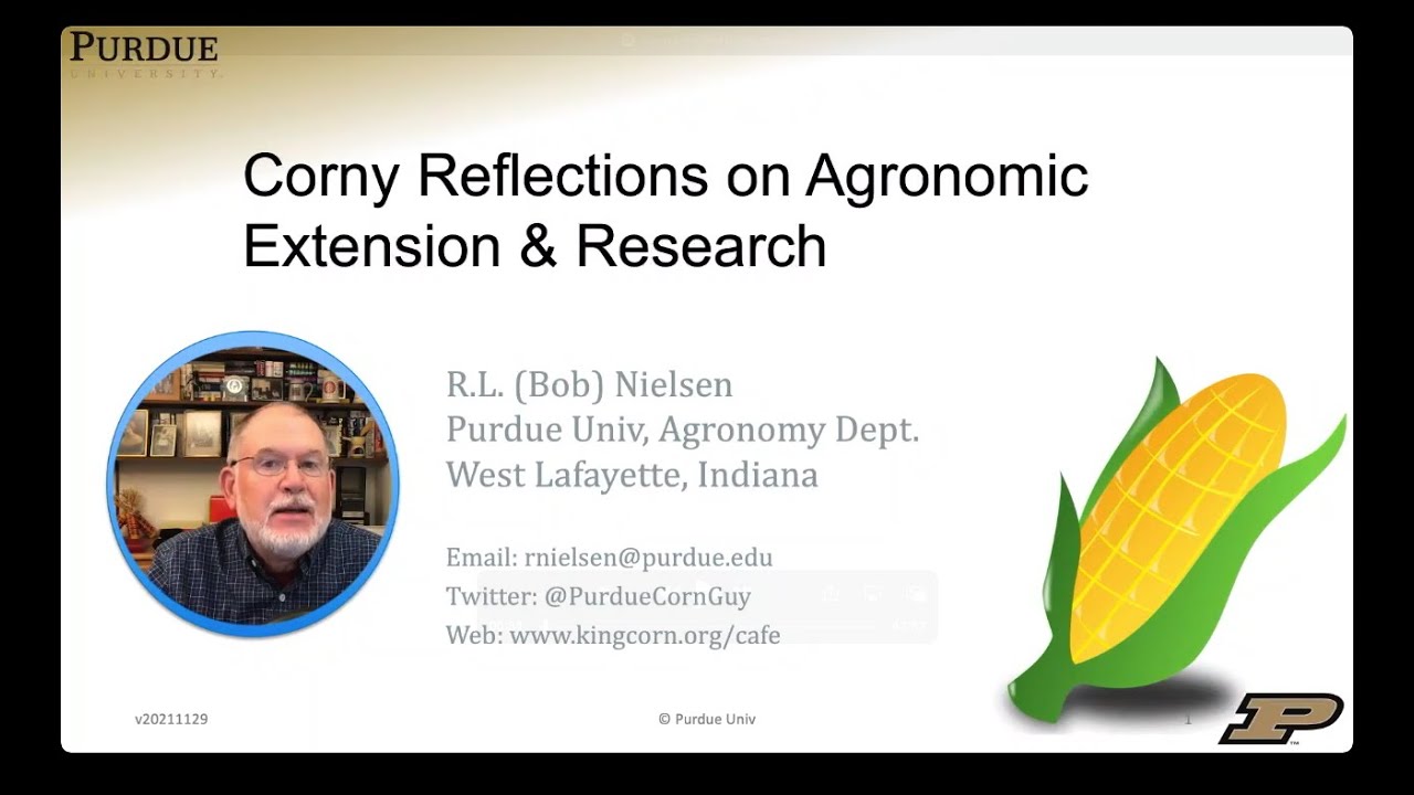 Corny Reflections on Agronomic Extension & Research