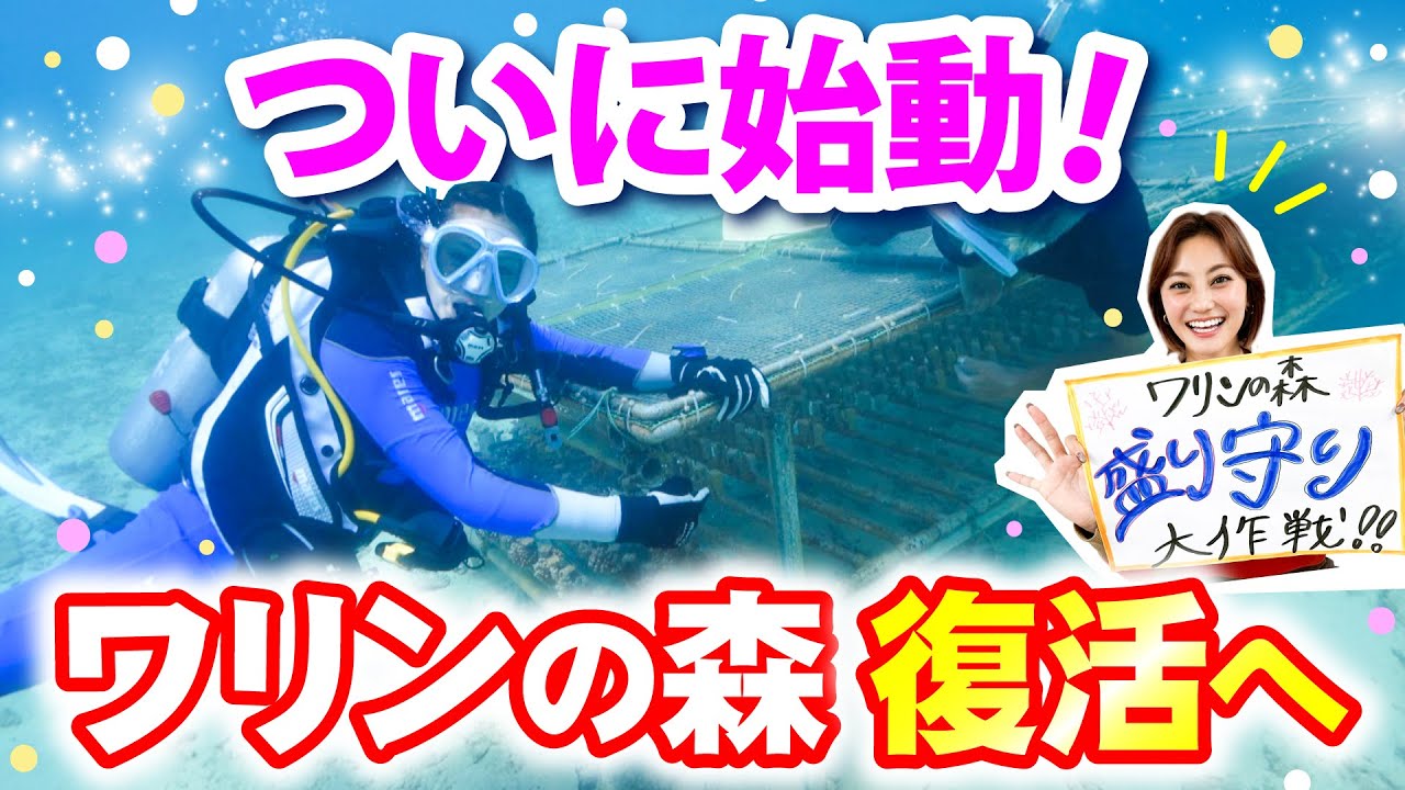 南の島のミスワリン 171回放送分