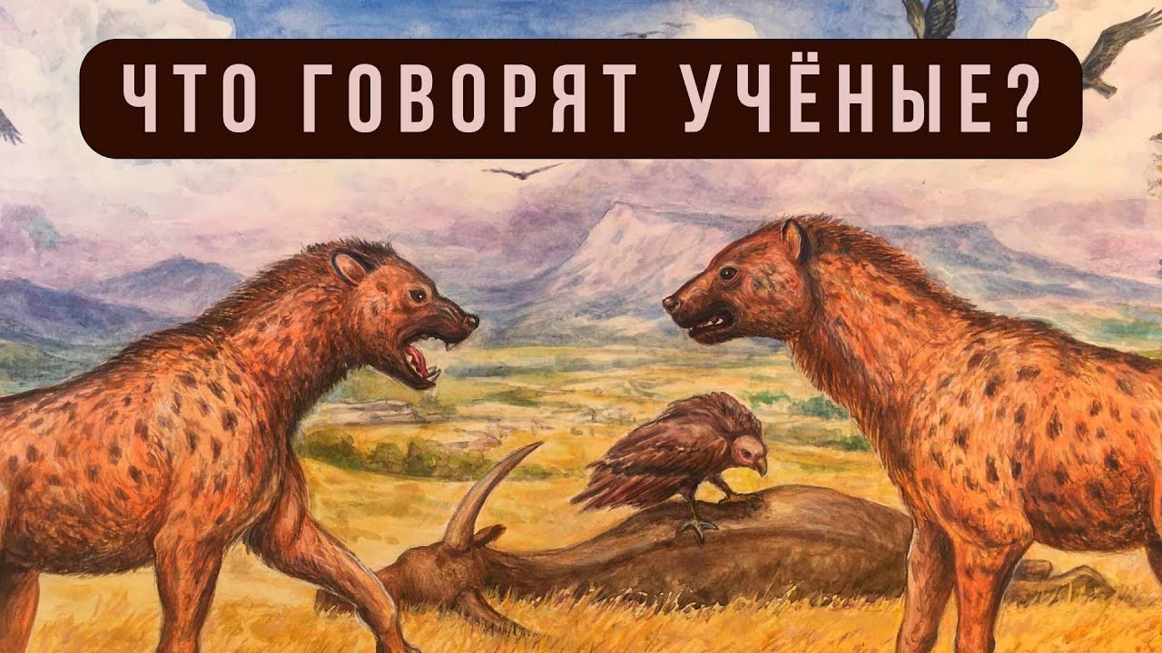 В Крыму жили слоны и носороги: находки в пещере 