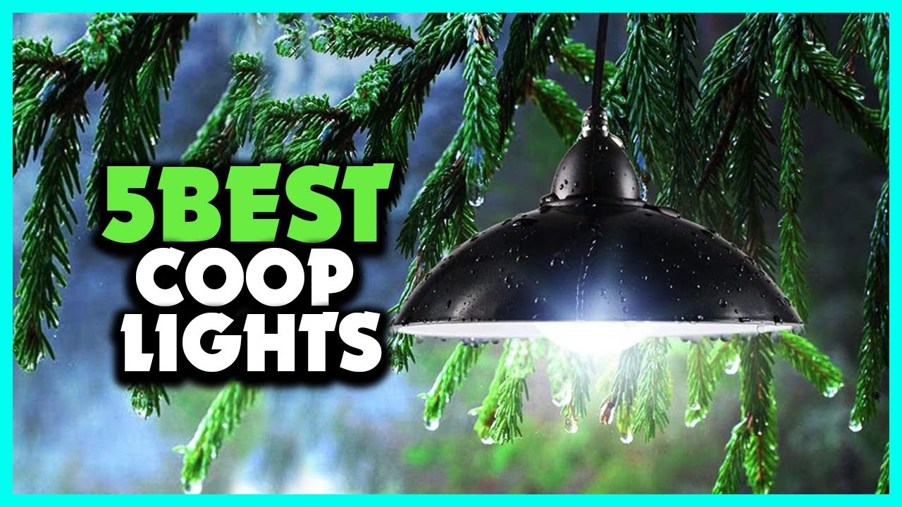 Top 5 Best Solar Chicken Coop Lights Review 2022