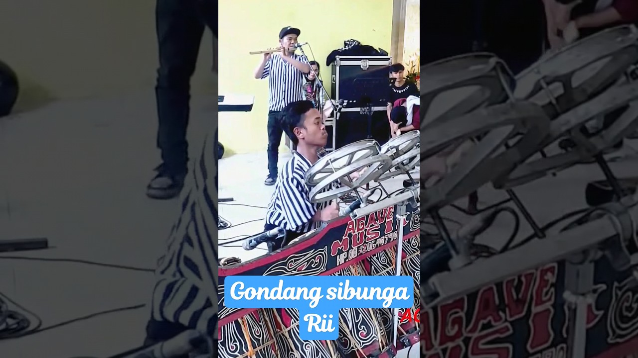 Gondang Sibunga Rii   #viralkan #2023 #meycotamba #trendingshorts #agavemusik #batakmusik
