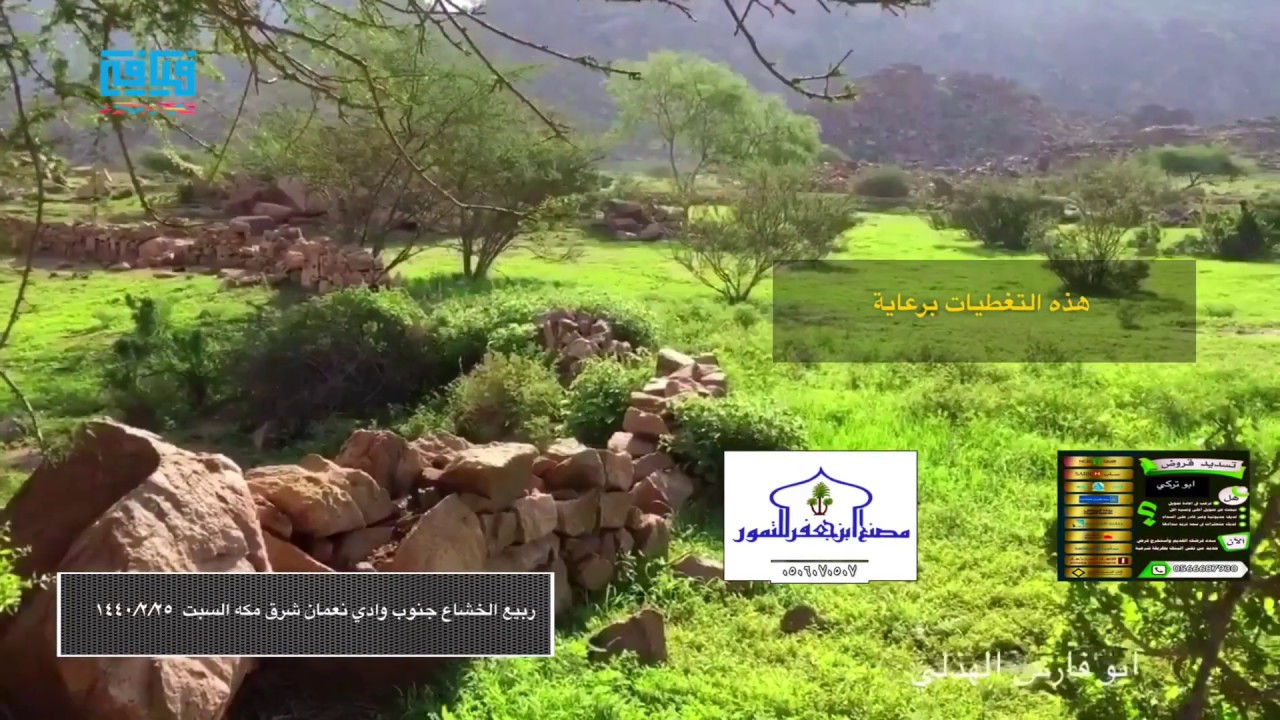 ربيع الخشاع جنوب وادي نعمان شرق مكه السبت  ١٤٤٠/٢/٢٥ تصوير ابو فارس الهذلي