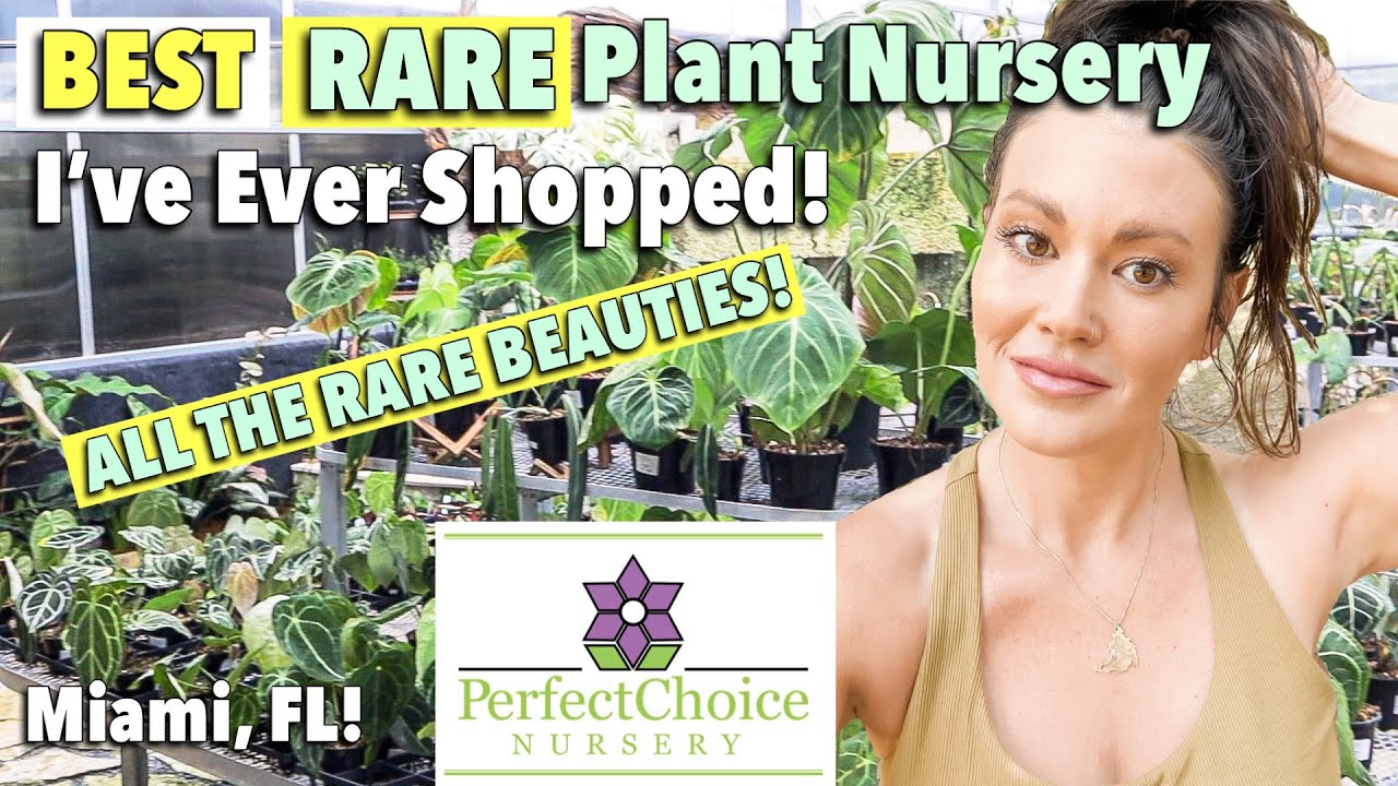 #1 BEST Rare Plant Nursery! Plant Shopping in Miami, Florida - Perfect Choice Nursery - Shop With Me