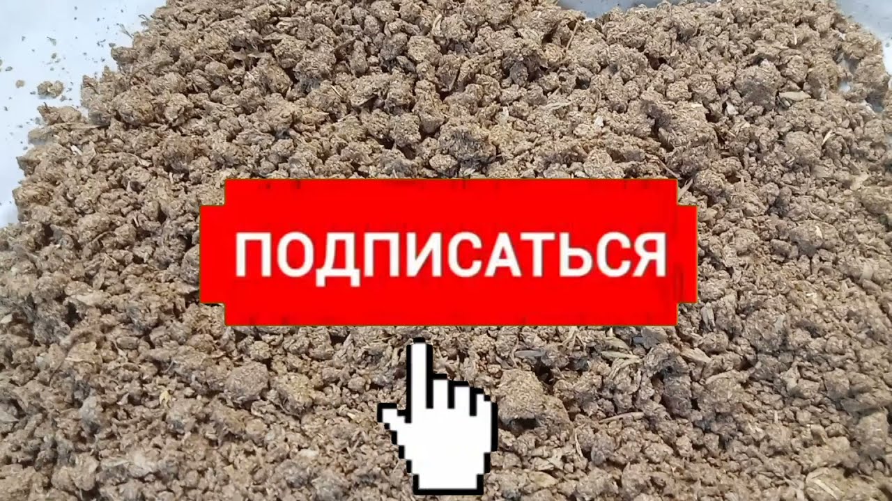 #Дрожжи натуральные всего из трёх ингредиентов, готовим дома сухие дрожжи