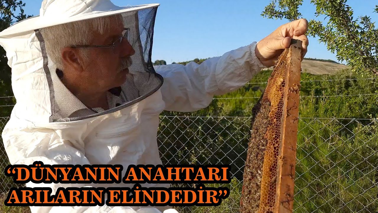 Çanakkale İli Arı Yetiştiricileri Birliği Faaliyetleri
