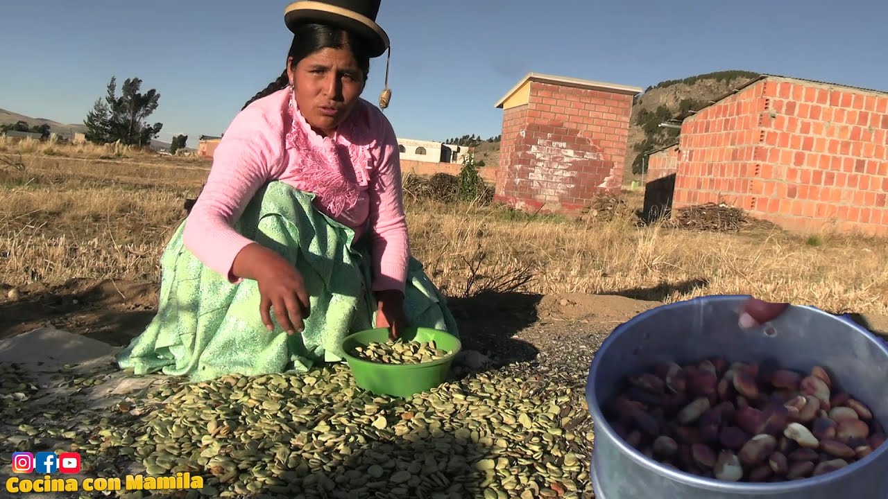 HABAS TOSTADO TODO NATURAL EN EL CAMPO - COCINA CON MAMILA