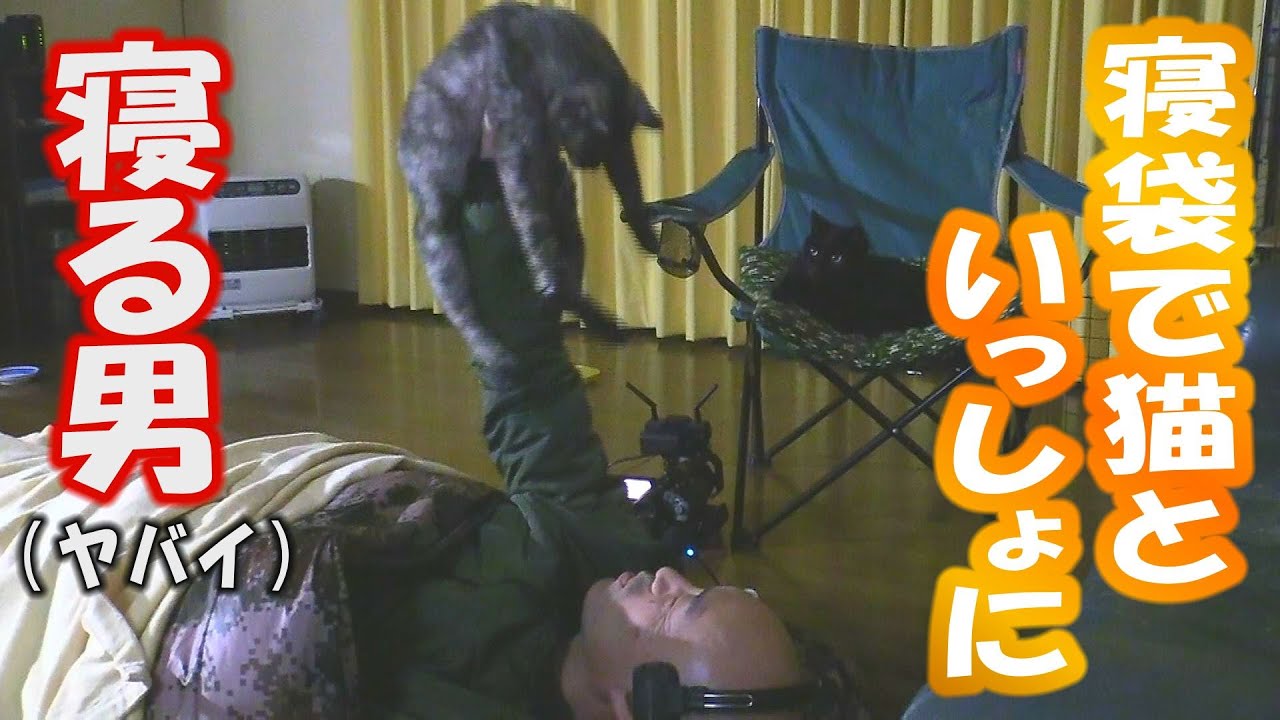 狐と狸と猫が来る家DAY36 これって普通？ 僕は寝袋で猫２匹といっしょに寝てます。