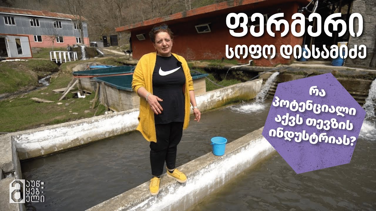 სოფო დიასამიძე - რა პოტენციალი აქვს თევზის ინდუსტრიას?