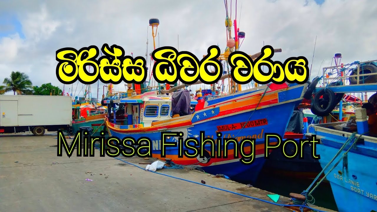 Mirissa Fishing Port,මිරිස්ස ධීවර වරාය📽️ No 53.