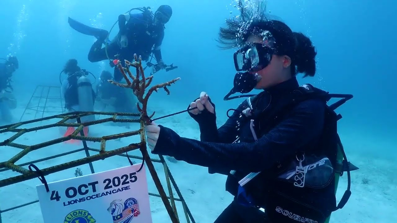 Reef Conservation 2025