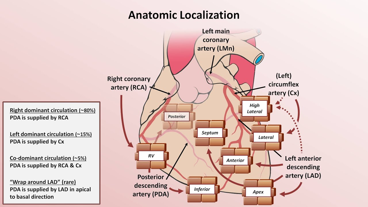 Intro to EKG Interpretation - Myocardial Infarctions (Part 1 of 2)