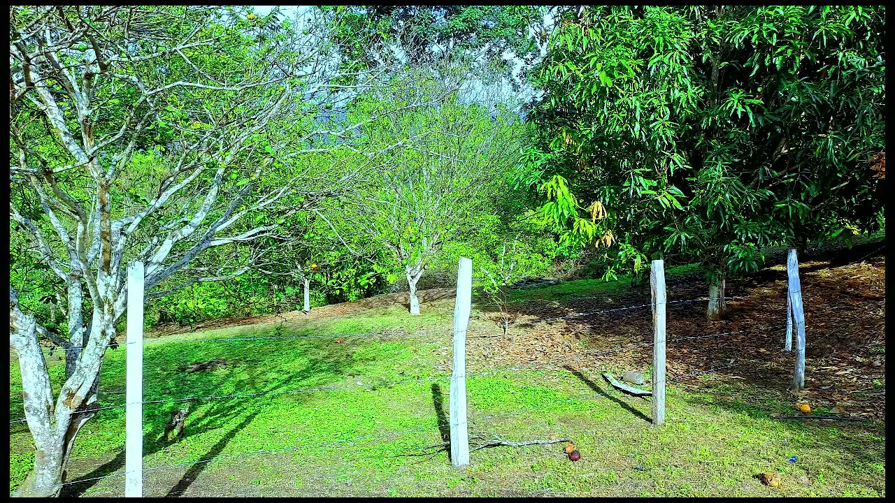 lotes campestres en venta en viota 04