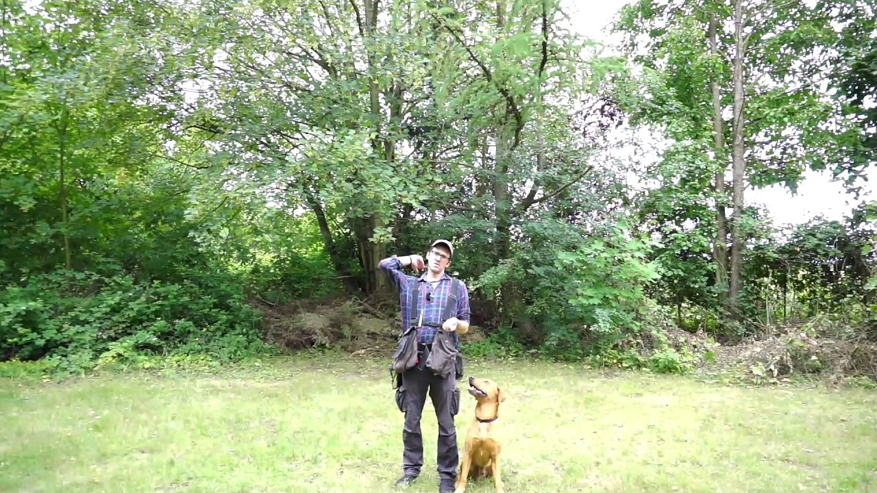 Zwei Wege zum Fuß gehen