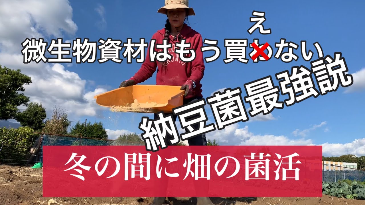 格安資材で畑の菌活　コメヌカに納豆菌最強伝説
