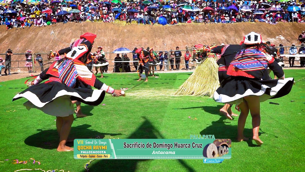 Sacrificio de Domingo Huarca Cruz  | QOCHA RAYMI PALLPATA