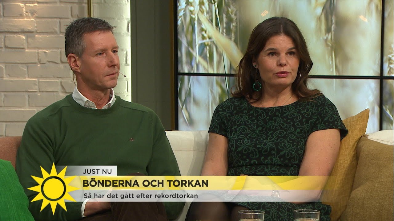 Efter sommarens rekordtorka: ”Det var en riktigt dålig skörd” - Nyhetsmorgon (TV4)