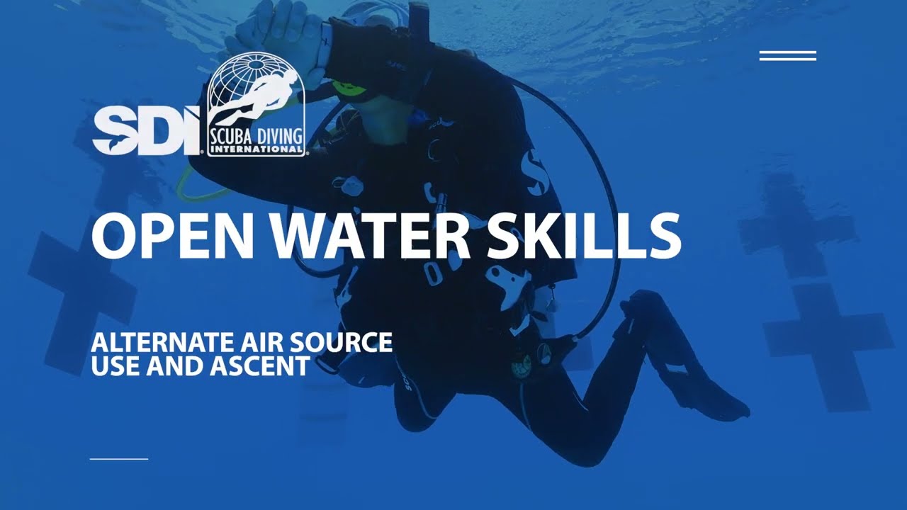 How To Do Alternate-Air Ascents - SDI Open Water Skills