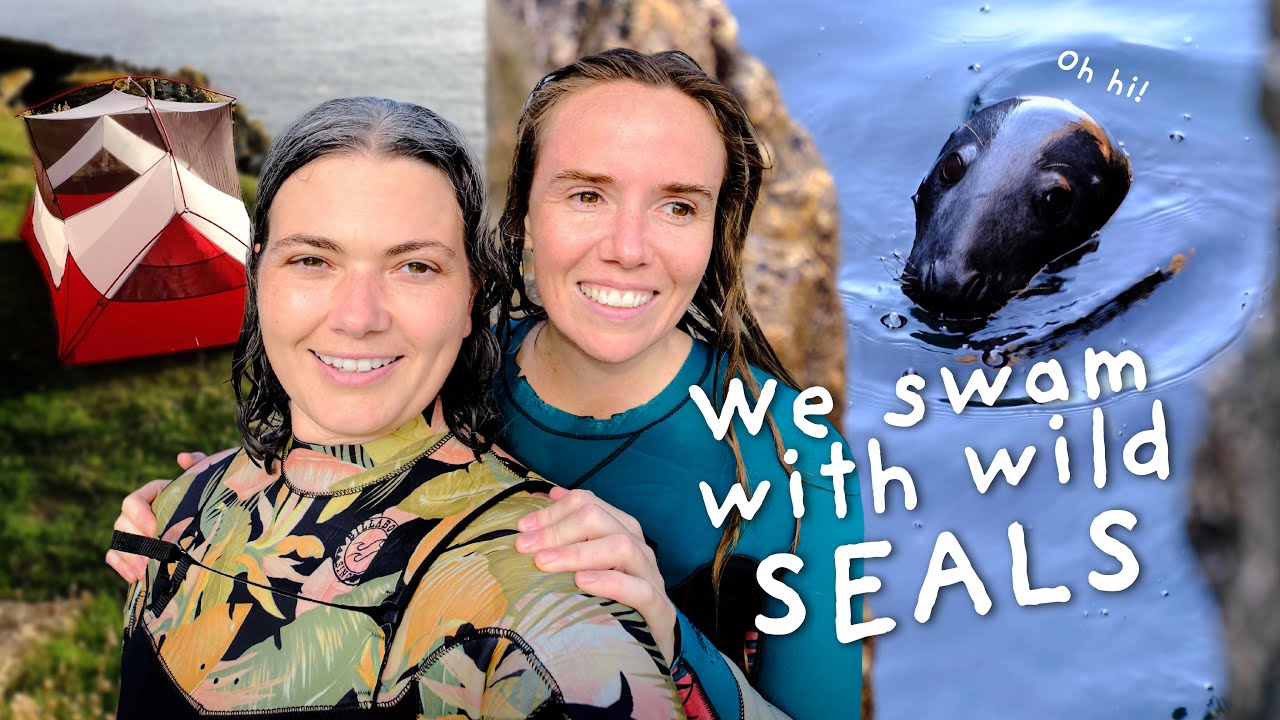 Wild Seals & Secret Cove Camping | LESBIAN VANLIFE COUPLE ADVENTURE