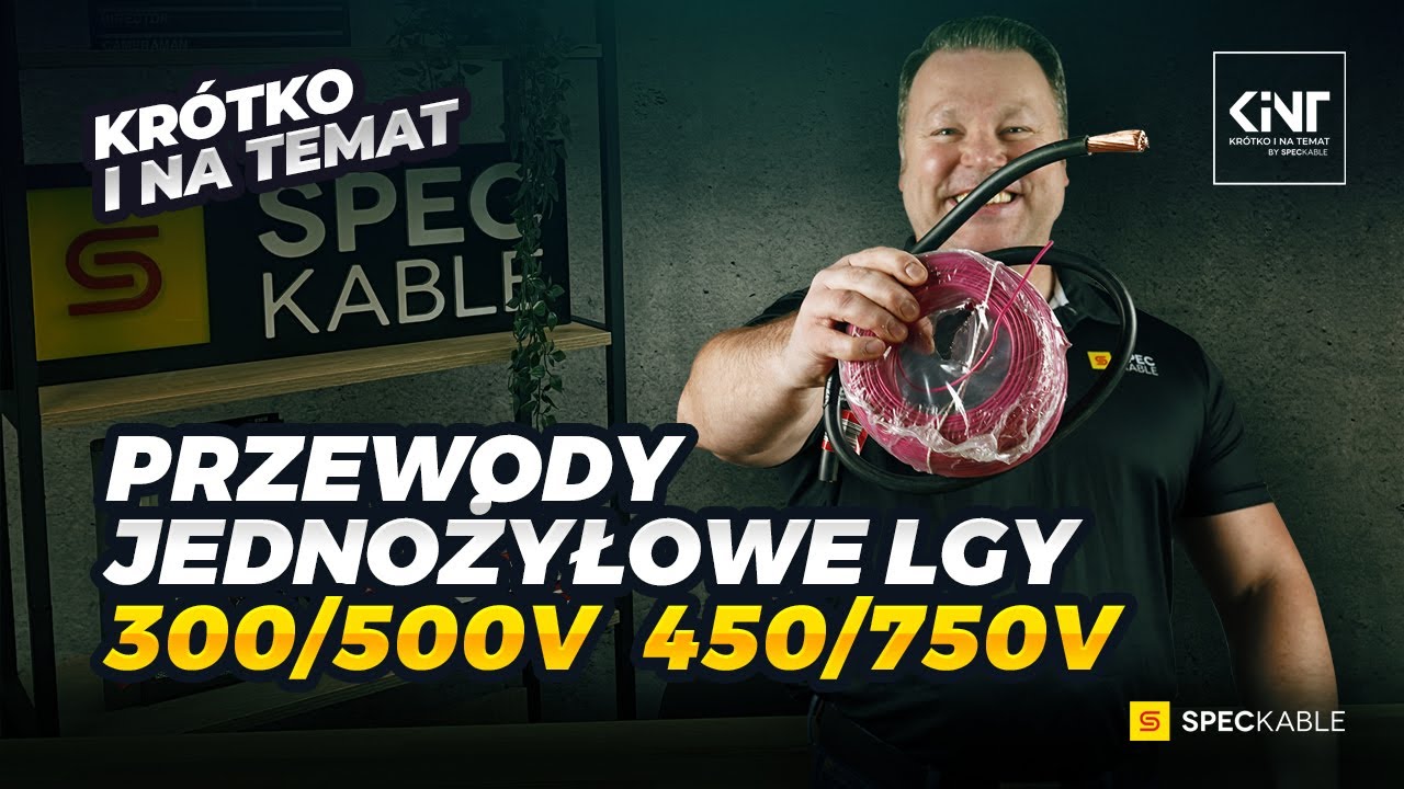 Przewody jednożyłowe LGY - 300/500V | 450/750V [KINT#31]