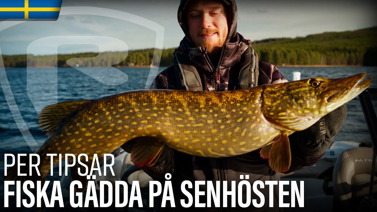 Per Tipsar - S&aring; lyckas du med g&auml;ddfisket p&aring; h&ouml;sten!